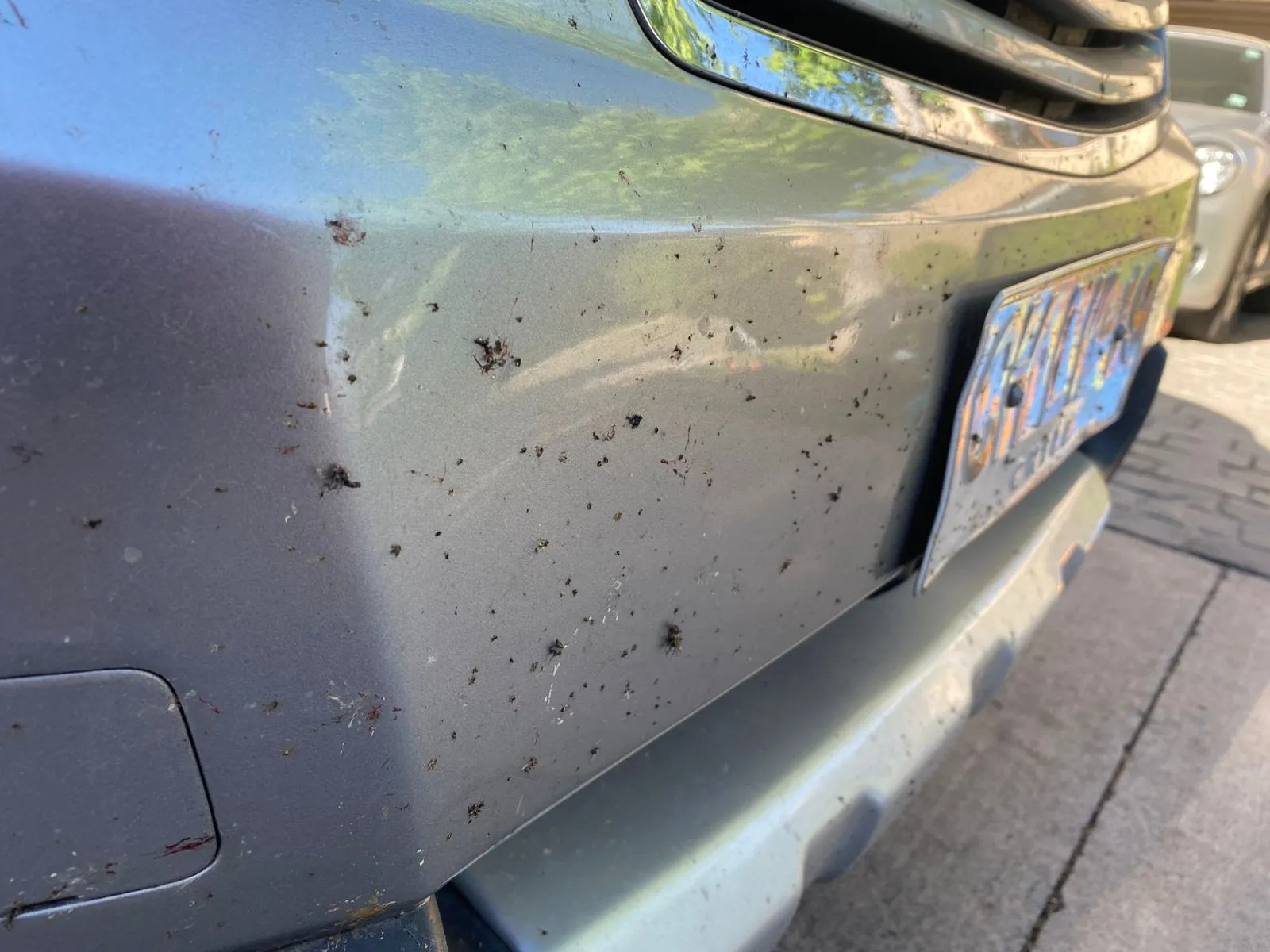 Motion Primitives Light